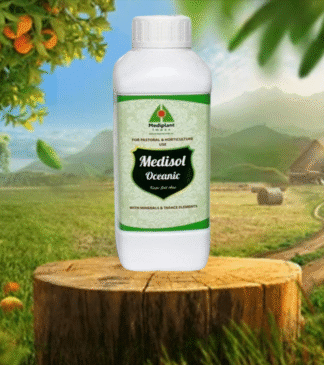 Medisol Oceanic