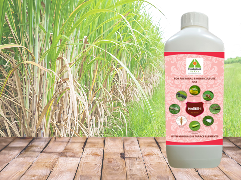 Medikill-I - Image 3